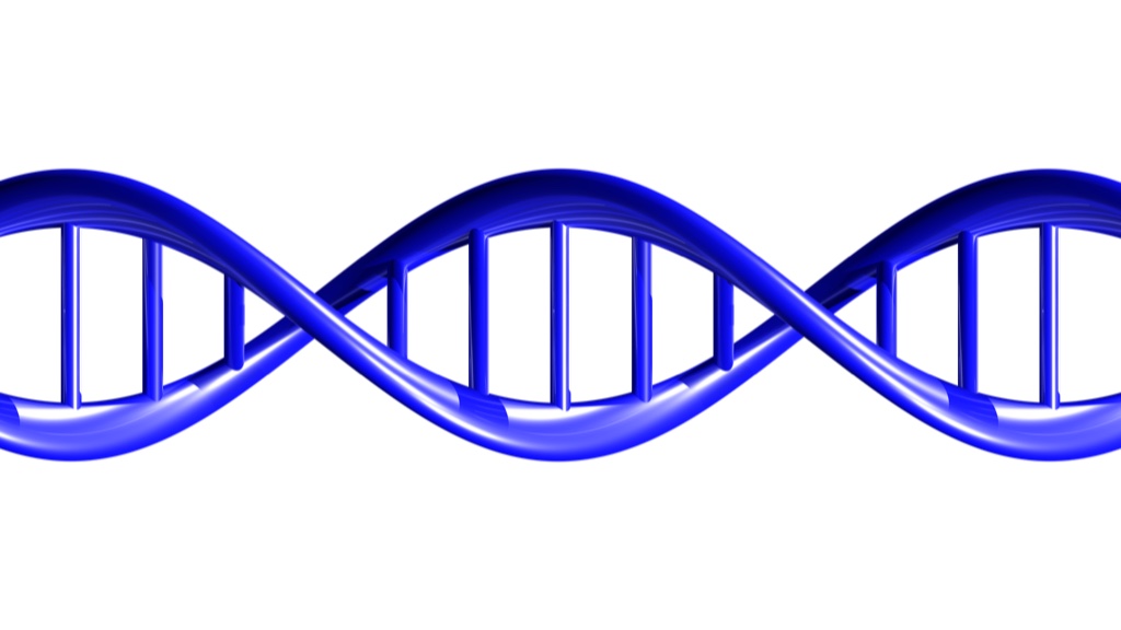 Cellular Reprogramming: The First Human Trial Begins