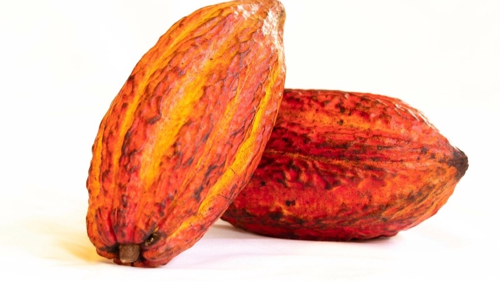 Cocoa Flavanols: What COSMOS Really Showed