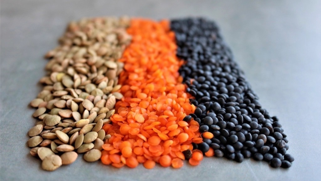 Dietary Fiber and Gut Health: The Longevity&nbsp;Lever