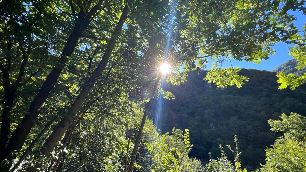 Vitamin D Benefits: What the VITAL Trial&nbsp;Proved