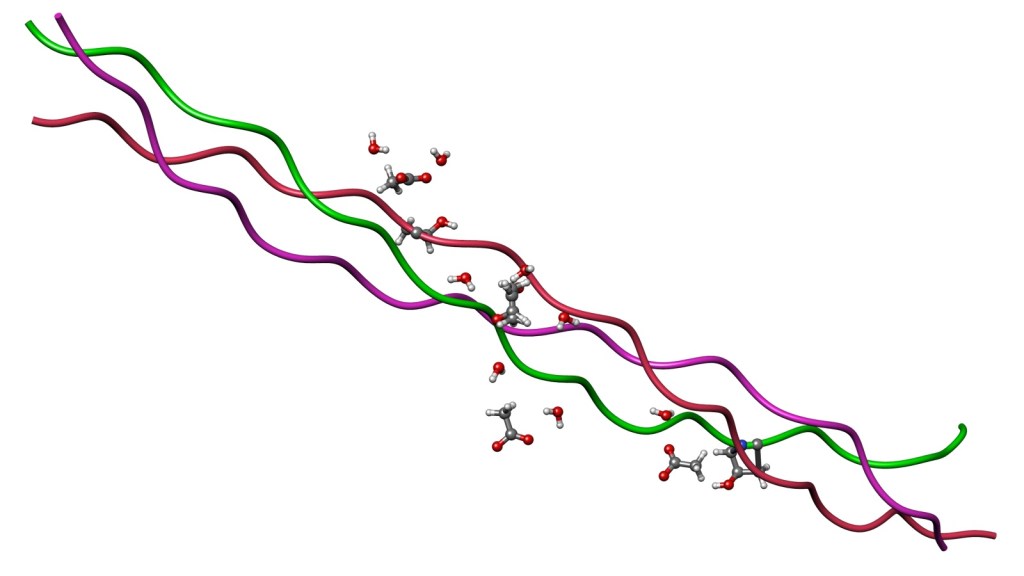 Collagen Peptides: What the Science Actually Says