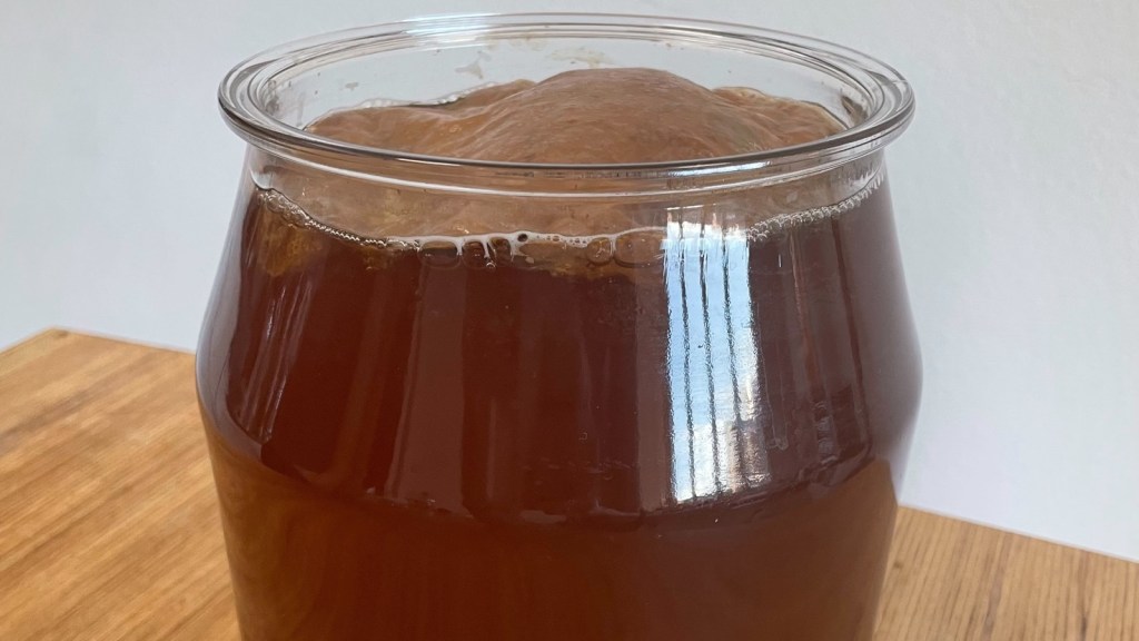 Fermented Foods and Gut Microbiome: The Stanford Trial