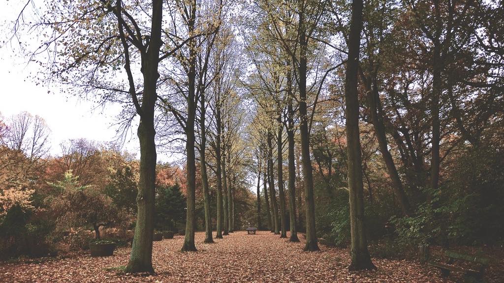 Walking After Eating: The Post-Meal Walk That Beats a&nbsp;Workout