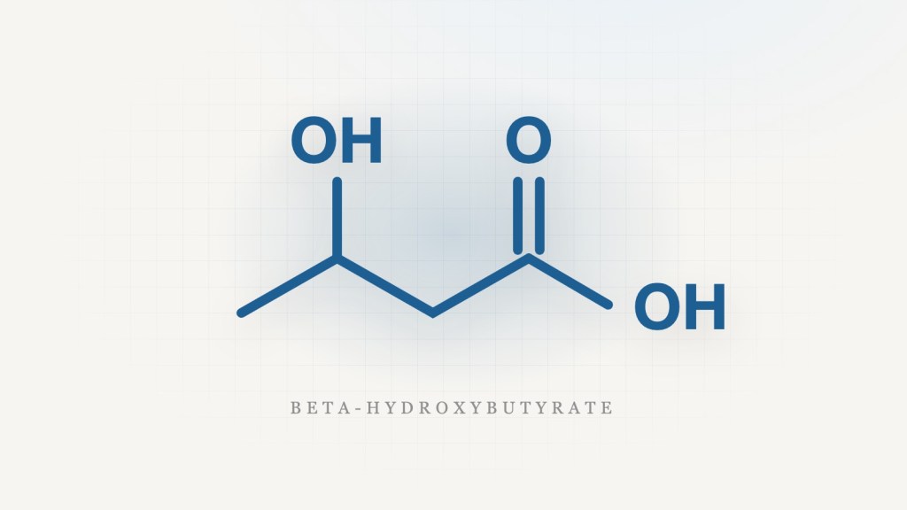 Do Exogenous Ketones Work? What the Trials&nbsp;Show