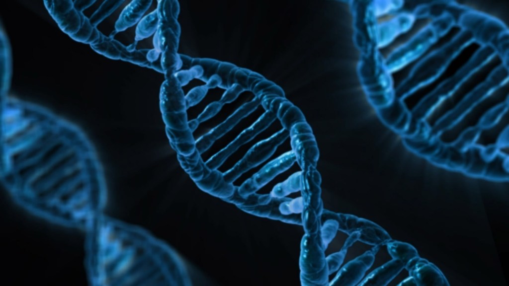 Can You Slow Biological Aging? What 51 Trials&nbsp;Show