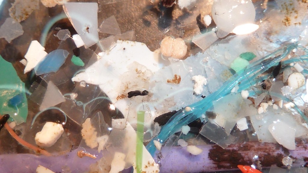 Microplastics in Brain Tissue: The Spoon Study, Checked