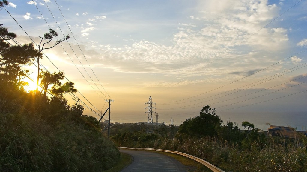 An empty paved running path curving down a grassy hillside toward the sea, with the low sun glowing through pine trees